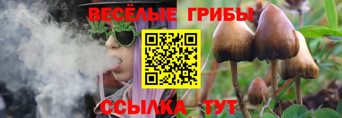 Галлюциногенные грибы мухоморы  Вход с VPN  Кондопога 